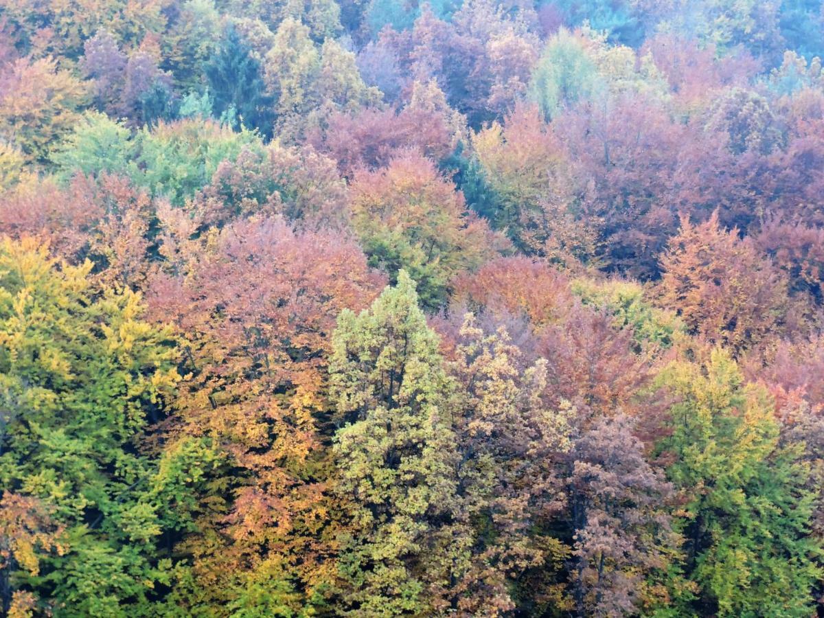 Gaestezimmer Klopfer Sankt Johann im Saggautal Exterior foto